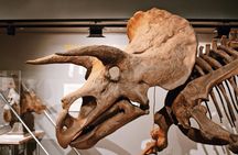 #1 Smithsonian Natural History + American History Museum Tour