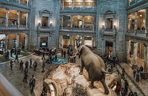 Smithsonian Museum of Natural History - Exclusive Guided Tour 