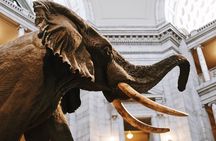 Smithsonian Museum of Natural History - Exclusive Guided Tour 