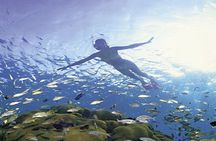 Sail & Snorkel for cruise ship passengers