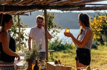 Naples Scenic E-Bike Ride to a Local Vineyard with Meal