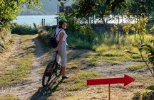 Naples Scenic E-Bike Ride to a Local Vineyard with Meal