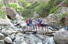 Excursion Ourika valley waterfalls (private)