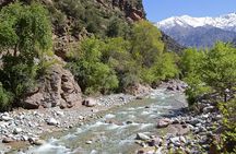Excursion Ourika valley waterfalls (private)