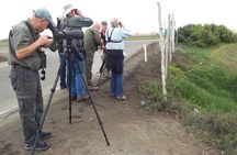 Birdwatching. Lima Wetlands