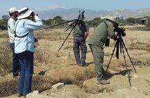 Birdwatching. Lima Wetlands