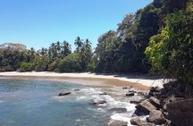 Manuel Antonio National Park; Beach & Sightseeing Day Trip from San Jose
