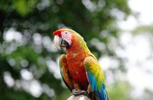 Manuel Antonio National Park; Beach & Sightseeing Day Trip from San Jose
