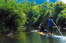 Full Day Khao Sok National Park Tour from Krabi with Lunch
