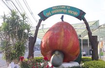 Private local city tour with english speaking driver 