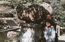 Jeju Island Private Half day Transport : South / West