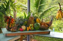 Penang Half Day City Tour Including Tropical Fruit Farm