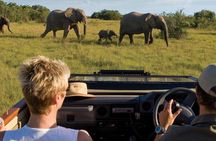 4 Day Garden Route Luxe Selection Micro Group Tour from Cape Town