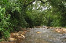 Yungas Half-Day Tour from Tucuman