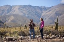 Discover Tafi del Valle: Guided Journey