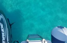 Private Speedboat tour "Zadar Islands - Off the Beaten Path"