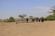5 Day Chobe National Park Accommodated Tour Safari