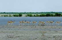 3 Day Chobe National Park Camping Tour
