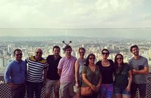 Private São Paulo Tour with Ibirapuera Park, Paulista Av and Downtown Visit