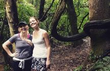 Private 4-hour Ecotour to Cantareira or Jaraguá Forest Reserve