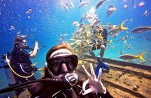 Private Half-Day Dive trip in St Thomas Virgin Islands