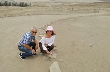 The Golden Tour In Lima
