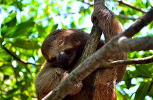 Roatan Sun & Fun Custom Private Island Tour