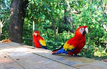 Mayan Eden Eco Park, Chocolate Factory & Transfer
