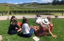 Yarra Valley Winery Tour from Melbourne - Lunch included