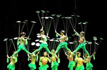 Beijing Roast Duck Banquet and Acrobatics Show with VIP Seats Evening Tour