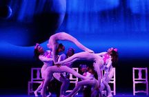 Beijing Roast Duck Banquet and Acrobatics Show with VIP Seats Evening Tour