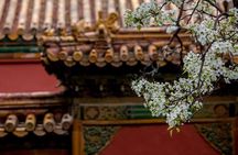 3-Day Private Beijing Tour with Forbidden City, Great Wall, Hutong and Lunch