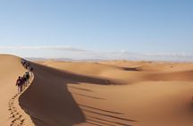 Abu Dhabi Quad Bike Desert Safari with 4W Dune Bashing & Off Road Adventure