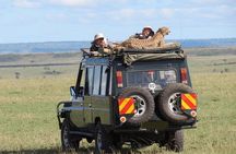 3 Days Masai Mara Wildlife Luxury Jeep Safari