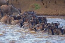 3 Days Maasai Mara Budget Safari From Nairobi