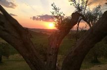Brunello Wine Tour and Val D'Orcia Landscape