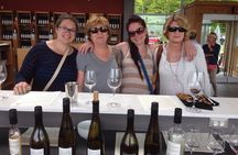 Niagara-on-the-Lake Small Group Wine Tour with Picnic Lunch