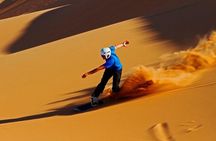 Desert Experience: Dinner and Emirati Activities ,Camel Ride Sand Board ATV Ride