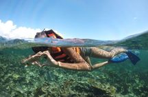 Puerto Morelos Reef Snorkeling Tour with Lunch