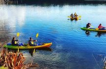 Twilight Kayak Glow worm Tour