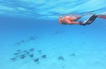 Tohora Bora Bora Snorkeling Lagoon Tours