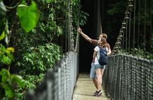Mistico Hanging Bridges