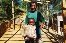 Let's Go Native Roatan City Cultural Tour, Transfer