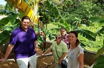 Let's Go Native Roatan City Cultural Tour, Transfer