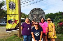 Roatan Private Sloths, Monkeys, Birds Encounters, City Tour and Transfer