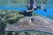 Sea Scooter Jet Snorkeling "Moorea Dream Adventure"