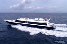 Blue Water Express Boat Transfer From Serangan Or Padang Bai To Lombok Or Vice Versa