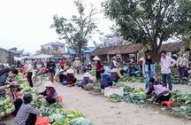 Hoa Lu - Mua Cave - Local Market -Tam Coc - Bich Dong 2days small group tour
