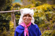 Full-Day Doi Inthanon Nature Tour from Chiang Mai