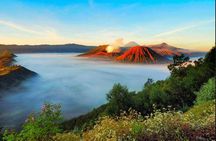 Borobudur & Prambanan in Yogyakarta, train to Malang, hike Bromo & Ijen // 4D3N